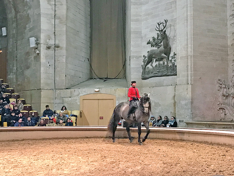 Chantilly show ring dome li robbins, Great Stables France, Grandes Ecuries Chantilly, France, museums for horse people, chateau de chantilly, living museum of the horse