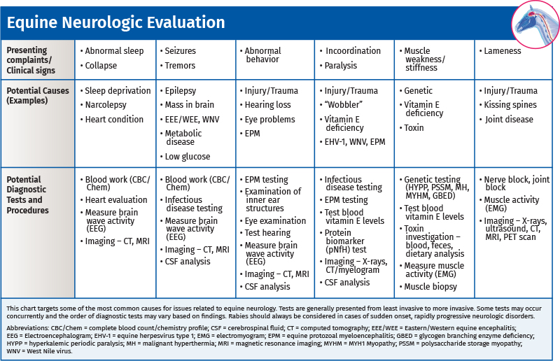 Equine Neurologic Evaluation Chart