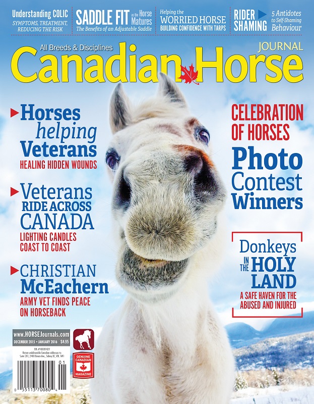 bc farm and ranch photography, tasha hall photography, equestrian photographer, horse photographers canada, bc horse photographers