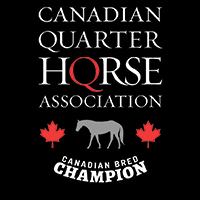 cqha events, cqha cash bonus, cqha breeders' committee, canadian quarter horse association, rod jefferies cqha