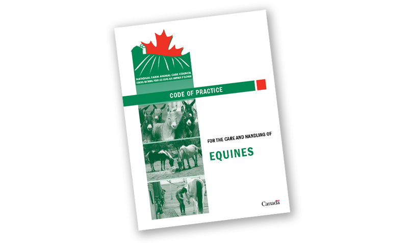 equine code of practice, code of practice for the care and handling of equines, shelagh niblock equine nutritionist