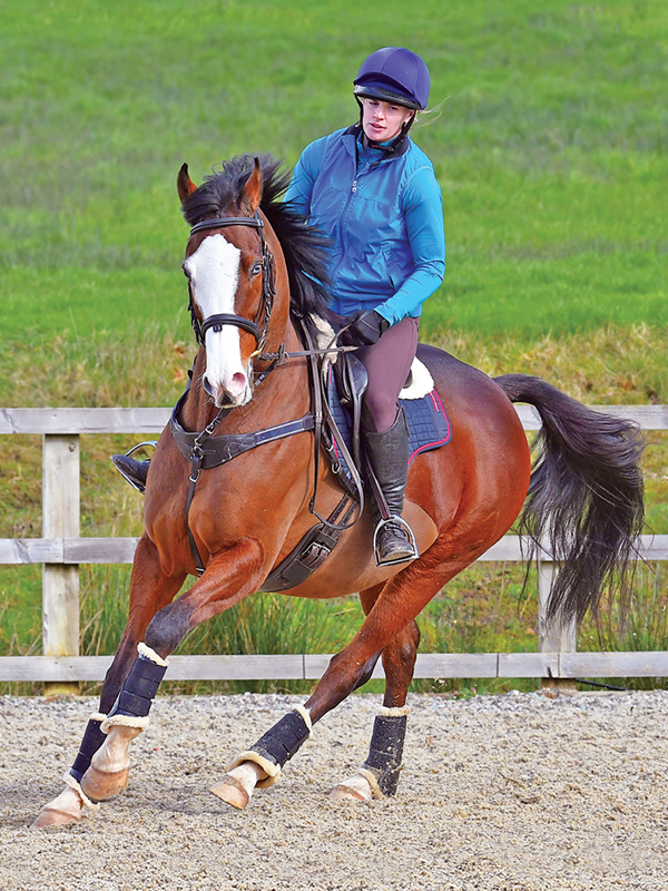 confident in saddle, nervous on a horse, staying calm on horse, how to get horse pay attention, equestrian psychology, Annika McGivern, how to enjoy riding horses