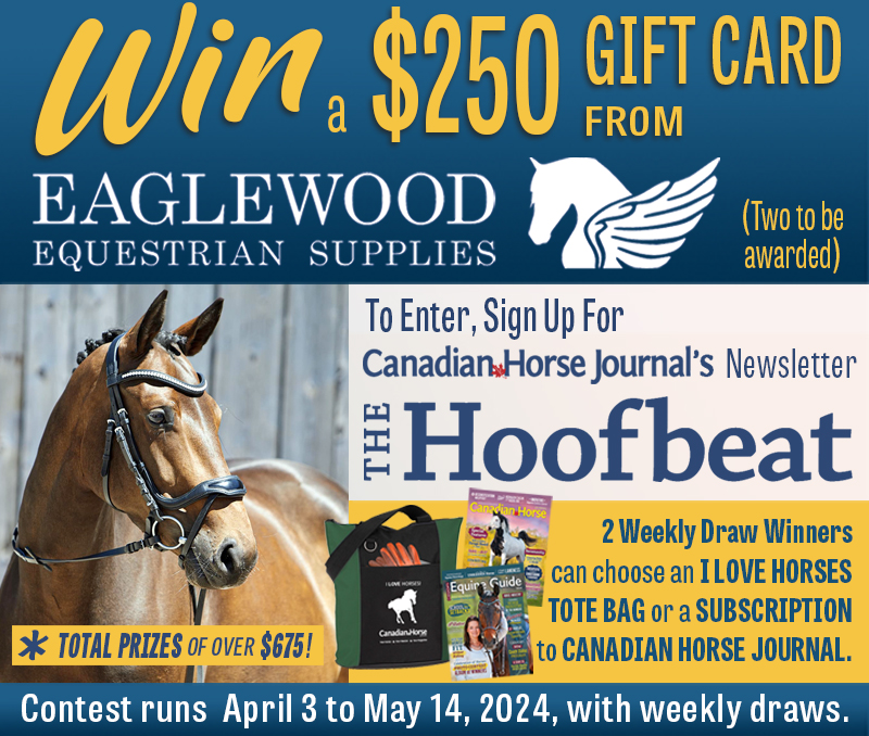 Eaglewood Equestrian, Horse contest free Canada