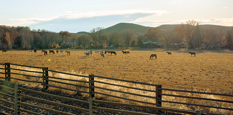 Hideout Lodge & Guest Ranch, holiday horseback rides Wyoming, shawn Hamilton clix photography, horseback riding holidays, horseback vacations, horseback riding chimney rock 