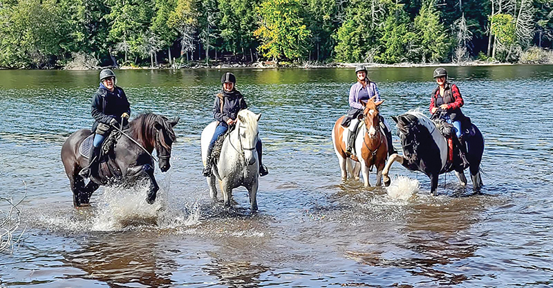 water crossing south algonquin equestrian trails, crossing water with horses