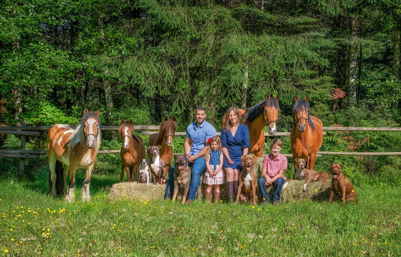 bc farm and ranch photography, tasha hall photography, equestrian photographer, horse photographers canada, bc horse photographers
