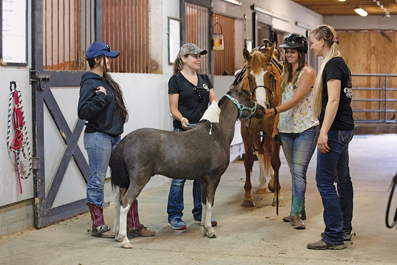 running a horse barn, barn culture, working in the equestrian industry, how to fit in horse barn, annika mcgivern