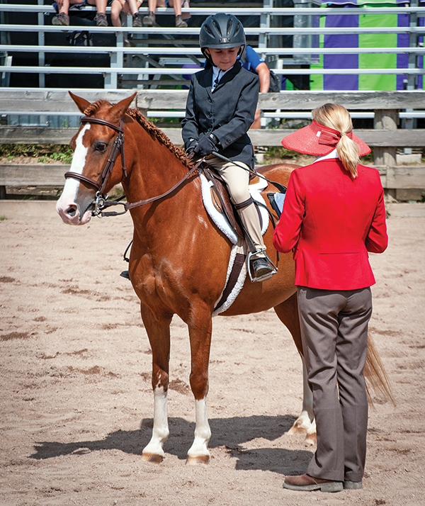 Lindsay Grice horse trainer, how to be a horse show judge, what does a horse judge do? ontario horse show judges canada