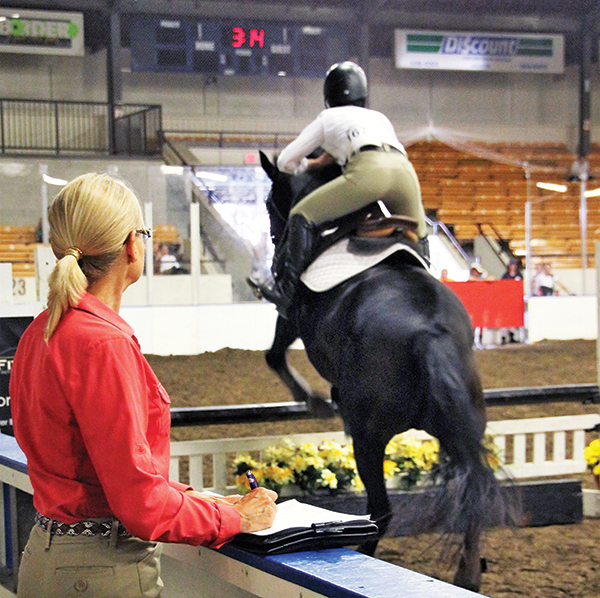 Lindsay Grice horse trainer, how to be a horse show judge, what does a horse judge do? ontario horse show judges canada