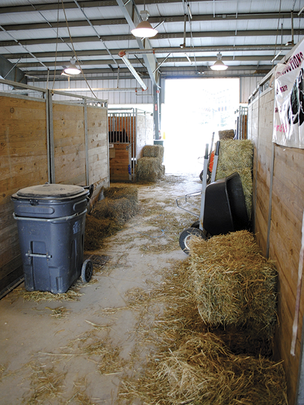 Dust Management horse barns, purdue extension, breathing for horses, respiratory disease equine, roa, dust control horse barn, horse barn renovations, better ventilation horse stable