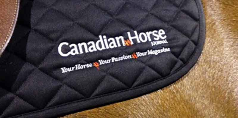 branded ogilvy pad with logo canadian horse journal
