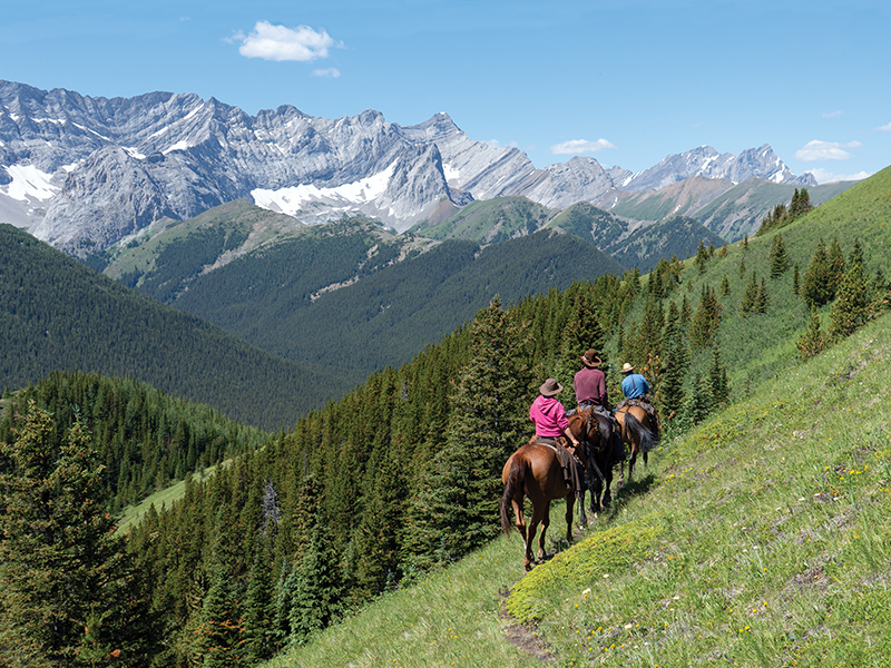 anchor d guiding & outfitting, riding holidays, horse riding holidays canada, rocky mountain horse rides