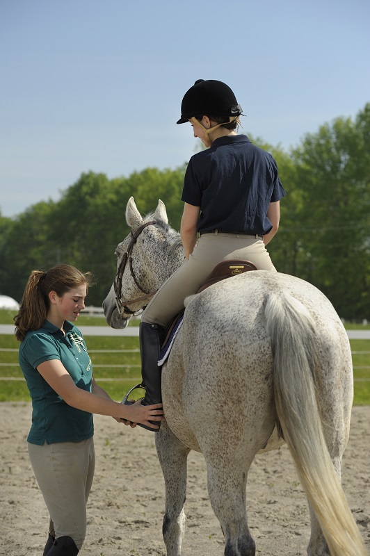 mindfulness with horses, annika mcgivern equestrian psychologist, enjoying horse riding, connect with my horse