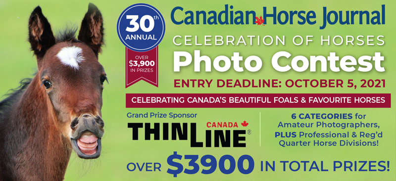 horse photo contest, canadian horse contests, photography contests horses, equine contests