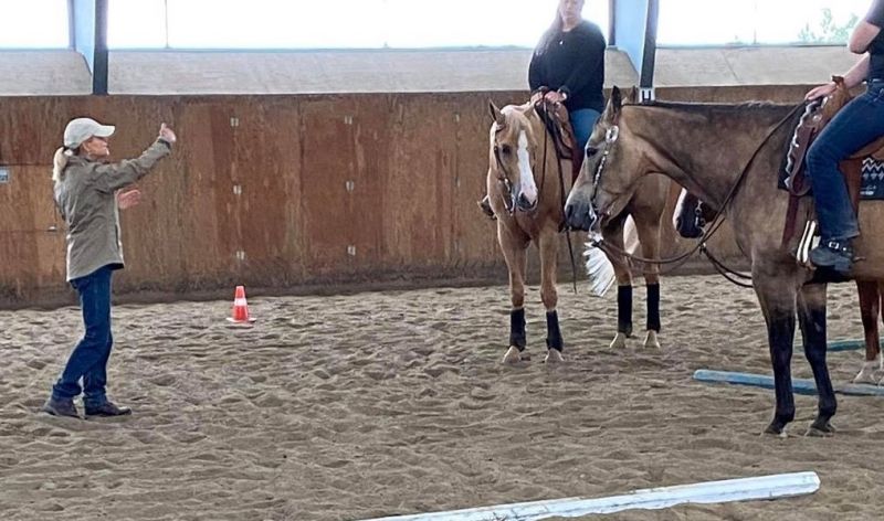 schooling horses, lindsay grice, how to practice for horse show, beginners exercises horse, side pass horse, trail obstacles horses, horsemanship, riding coach
