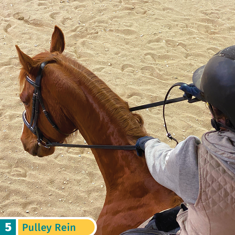 five rein aids horses, pulley rein aid, riding horses rein aids, sarah mellings, ec certified coaches