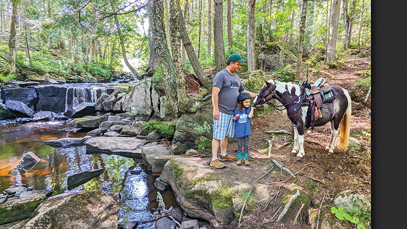 family pony picnic ride serenity falls, south algonquin equestrian