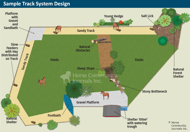 sample track system for horses
