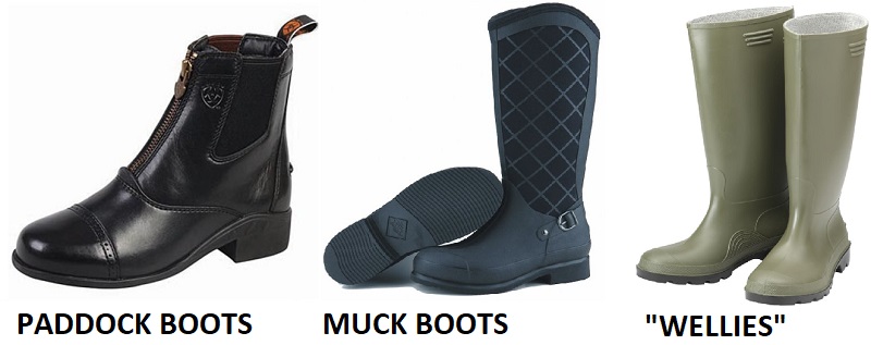 types of horse riding boots, picking a boot for riding horses, english boots, western boots, field boots, dress boots, dressage boots, hunt boots, paddock boots, wellies, muck boots, western boots, tall boots, riding boots