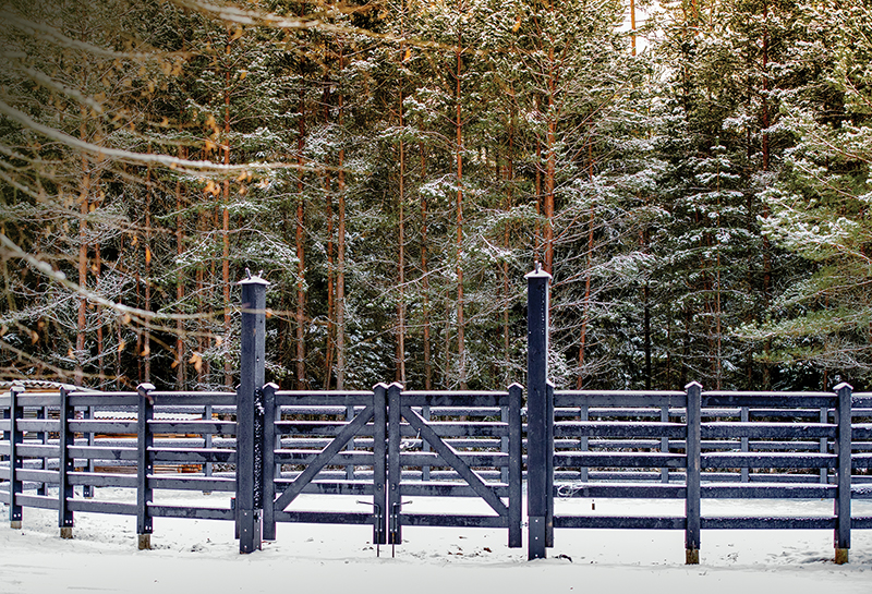 horse fencing problems, fixing horse fence, equine flex fencing, electric fence horses, equine guelph, system fencing, board fencing horses, gates horses