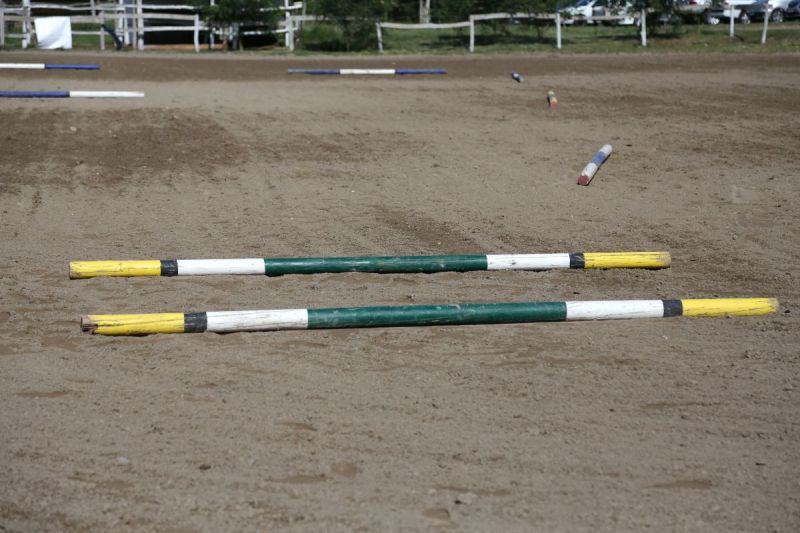 jec ballou, conditioning horse, training young horse, exercising horse, jec ballou exercises, ground pole exercises