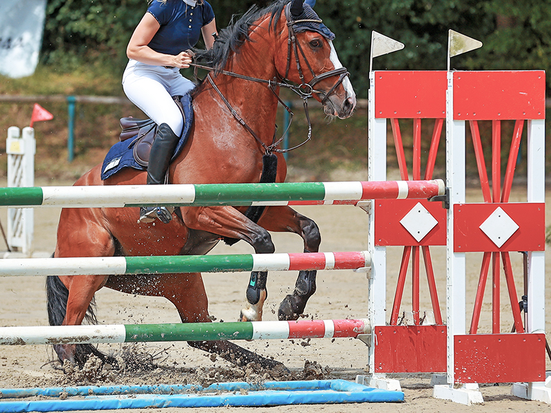 annika mcgivern equestrian psychologist, emotional horse rider, anxiety horse riding, positive self talk for horse riding success