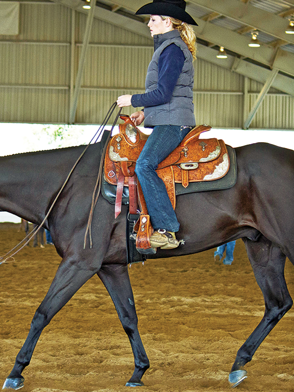 proper horse riding position, proper head position horse riding, equitation standards, lindsay grice