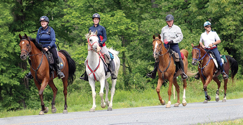 sophia donovan trident, 100-mile endurance race vermont usa, riding older horse