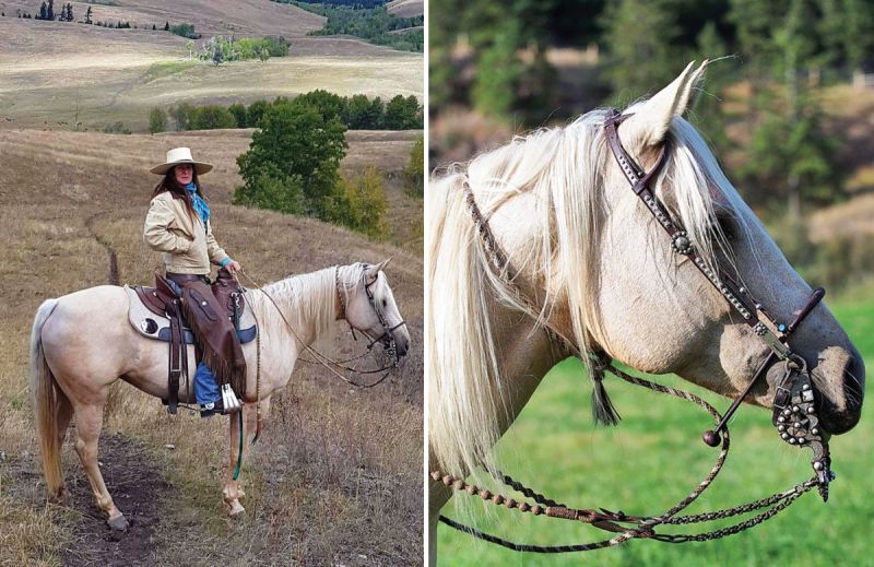 bridle horse riding, tania millen, martin black horse trainer, spanish cowboys, stefanie travers horse trainer, straight up bridle, bosal two rein, roping