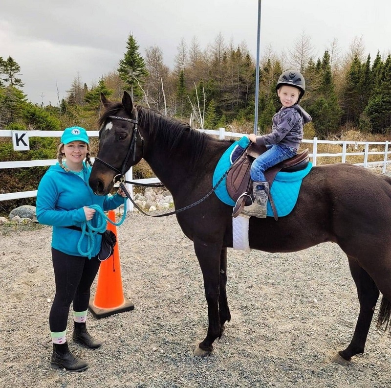 rescue horses canada, homes for retired racehorses canada, greener pastures, wild horses of alberta, longrun thoroughbred, new stride equine retirement, thoroughbred aftercare alliance, horse welfare alliance of canada