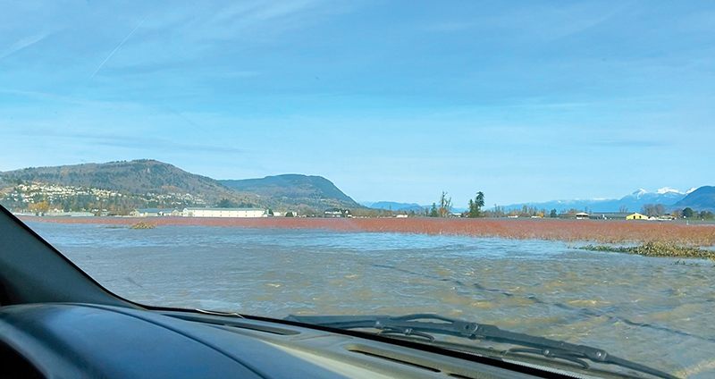 equine emergency preparedness, horses stuck flooding, preventing barn fire, emergency services horses, help for horses disaster, kevan garecki, bc flooding horses