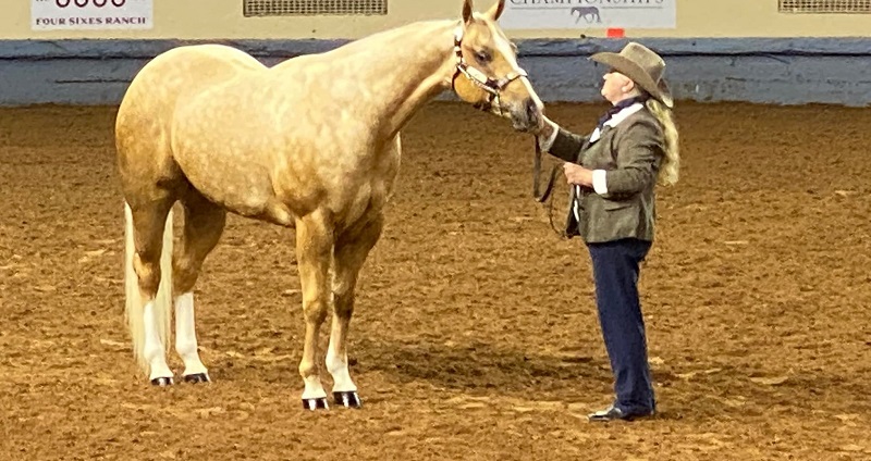 Canada’s Quarter Horse industry, American Quarter Horse Association (AQHA), André De Bellefeuille, National Reining Horse Association, Alberta horsewoman Lindsey Soderberg–Geiger, AQHA World Championship, 2021 Adequan® Level 2 World Championship, Mike Rapley AQHA’s Professional Horseman, CQHA Director Brad Bowie