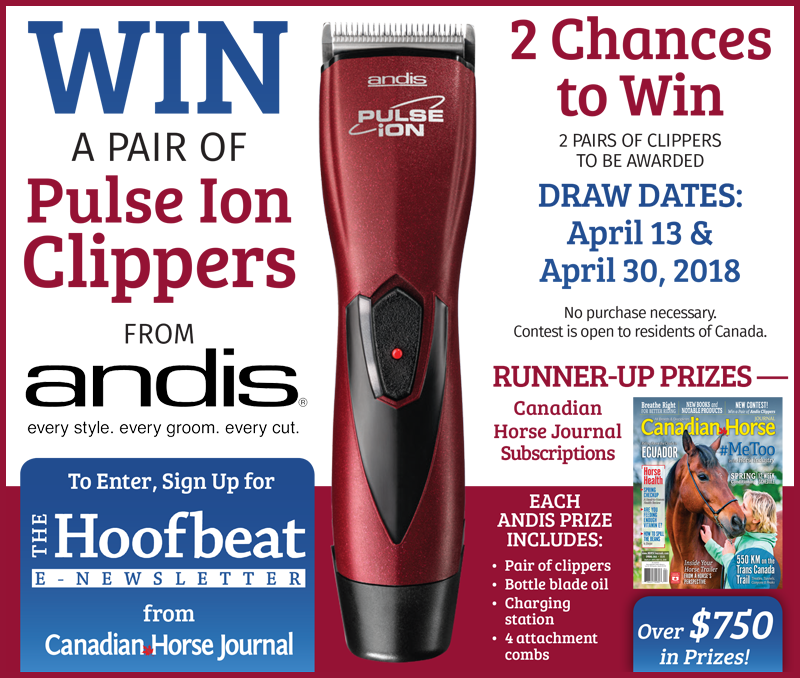 andis pulse ion equine clippers andis contest horse clippers
