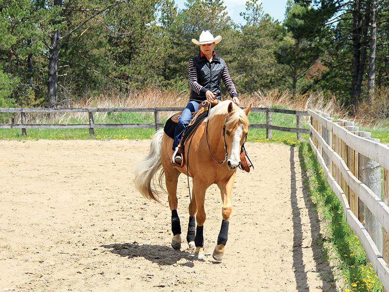 canter lead, correct canter lead, horse picks up wrong lead, lindsay grice horse trainer, my horse doesn't canter right, exercises to improve canter