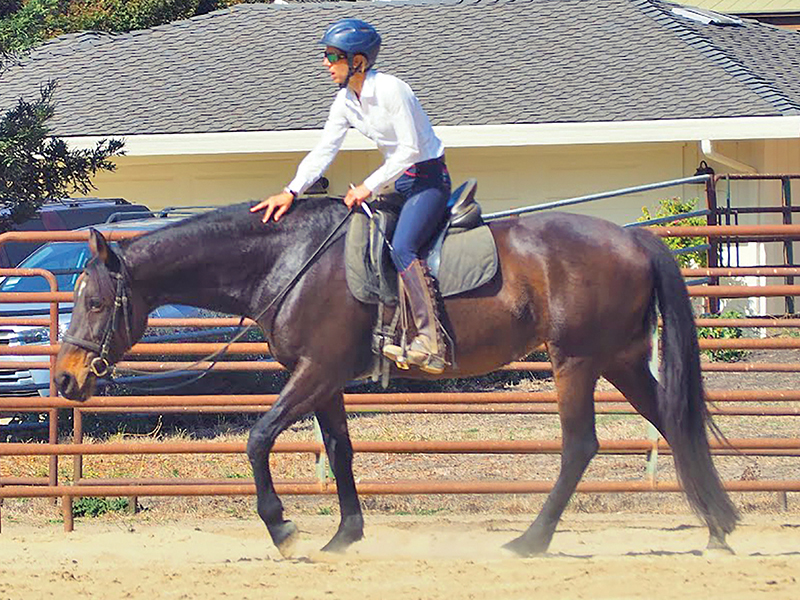 jec a ballou dressage, exercise programs for horses, best way to exercise horse, how to have an effective horse ride