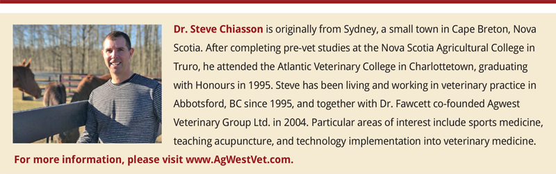 Dr Steve Chiasson