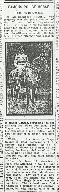 World War I horse named Bunny, bunny the brave war horse, Elizabeth MacLeod, 1914 horse named bunny