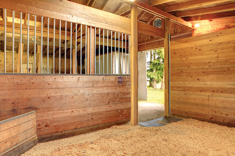design Horse Stall layout, Eileen Wheeler, Ph.D., Professor of Agricultural Engineering, dimensions of horse stall, ventilating horse stall, equine respiratory, lights for horse stall, flooring for horse stall