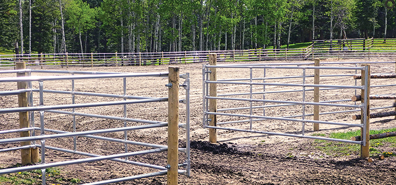 what is the safest type of horse fencing? What is most functional type of horse fencing? different types of horse fencing, vinyl horse fencing, electric horse fencing, polywire horse fencing, tape horse fencing