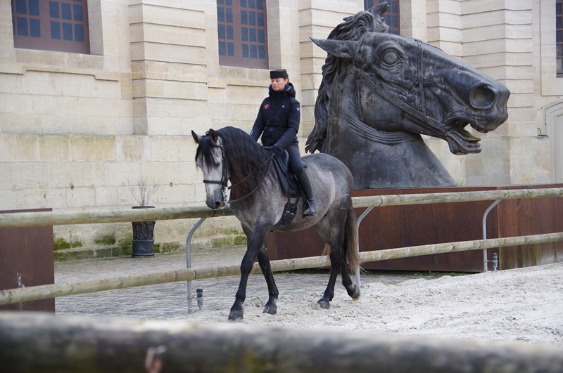 Chantilly show ring dome Copyright Christophe Taniere, Great Stables France, Grandes Ecuries Chantilly, France, museums for horse people, chateau de chantilly, living museum of the horse