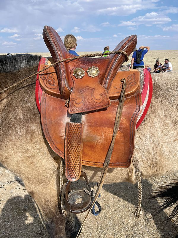 mongolian ride, holidays on horseback, tania millen horse writer, riding a reindeer, horseriding abroad.