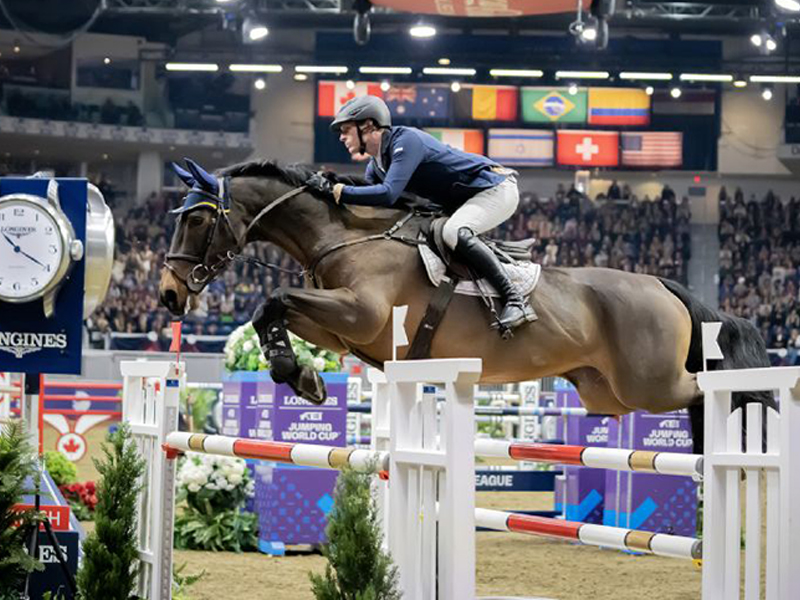 daniel coyle show jumper, royal horse show longines fei jumping world cup