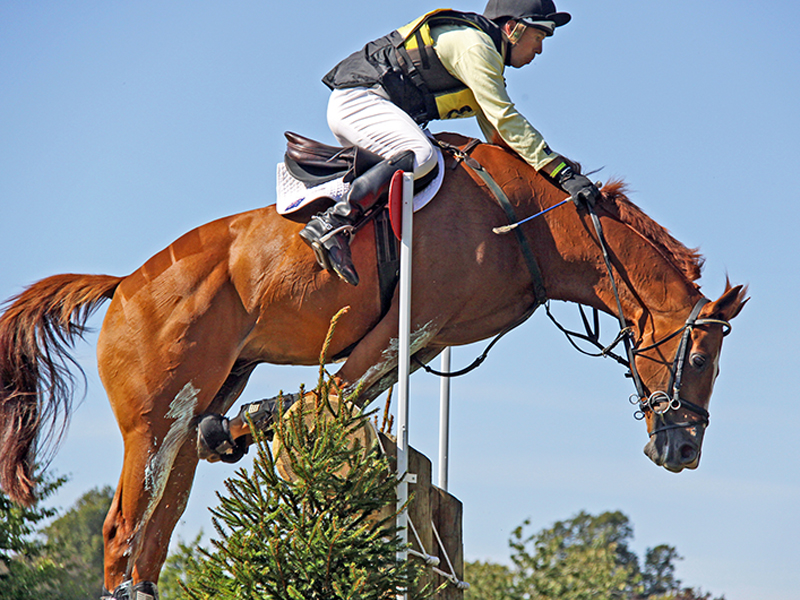 fei eventing, risk of falls in horse riding, how to not fall off a horse, risk of falling horse eventing, equine science update