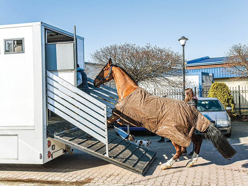 horse rushes into trailer, how to safely load a horse, slow a horse down trailer