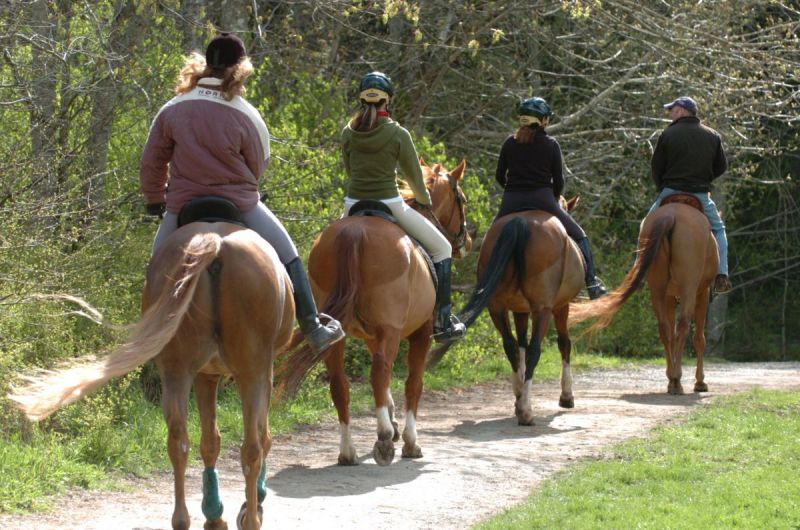 eco-friendly horse, rotating horse grazing, trail riding responsibly, manure composting horse, langley environmental partners society