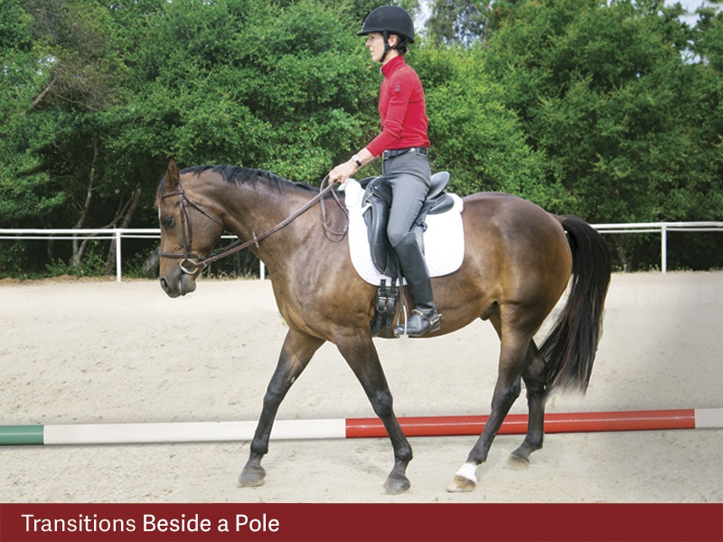 exercises for horses, jec ballou riding exercises, training horses with poles, pole exrcises horses