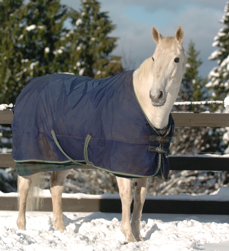 horse blanket Tips, equine blanket tips, durable horse blankets, denier horse blanket, horse blanket fittings, Waterproof horse blankets, breathable horse blankets, equine fly sheets