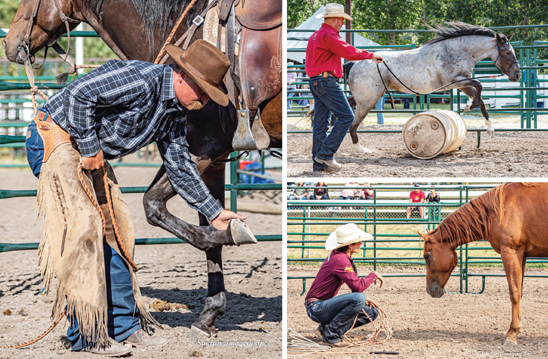 colt starting competition, tania millen, how to start a horse, working with foal, jim anderson higher horsemanship, heart of the horse, niki flundra horse trainer, glenn stewart horse, jill barron horse