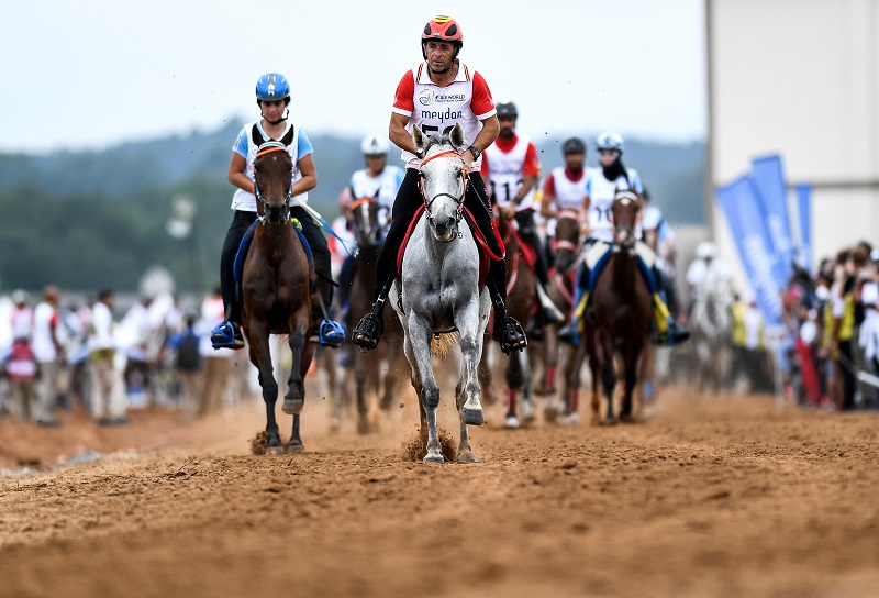 Tryon 2018 FEI World Equestrian Games, horses hurricane florence, canadian weg team