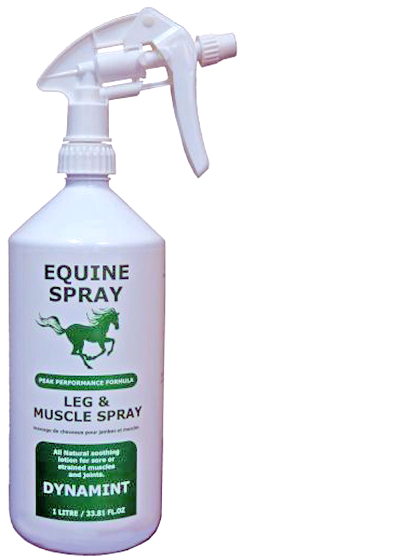 dynamint integrated bio, equine muscle rub, how to help my horse's sore muscles, equine liniments